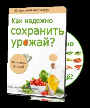 Чому в'яне розсада огірків в теплиці (як підв'язувати огірки.) Чому в'яне розсада огірків в теплиці