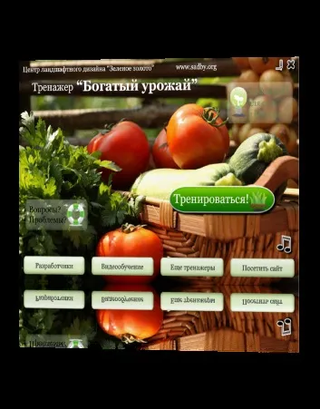 Чому в'яне розсада огірків в теплиці (який сорт огірків вирощувати в теплиці) Чому в'яне розсада огірків в теплиці