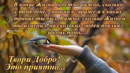 Підбірка відео - як досягти фінансової добробуту і достатку - (причини проблем з грошима, (досягти) Підбірка відео - як досягти фінансової добробуту і достатку - (причини проблем з грошима,
