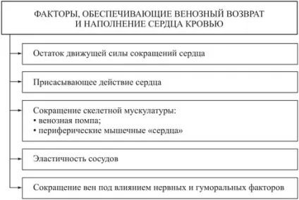 Показники роботи серця