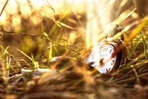 Порядок надання земельних ділянок в постійне безстрокове користування та переоформлення (земельні ділянки надаються в постійне користування) Порядок надання земельних ділянок в постійне безстрокове користування та переоформлення