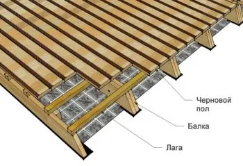 статеві балки