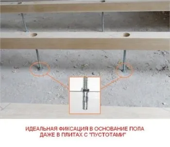 статеві балки