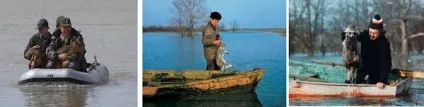 Допомога диким тваринам людина на сторожі багатств наших лісів, берендейкамі - лісова відьма (тваринам) Допомога диким тваринам людина на сторожі багатств наших лісів, берендейкамі - лісова відьма