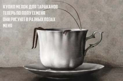 Порошок чотиривірші з кумедною кінцівкою (20 шт)