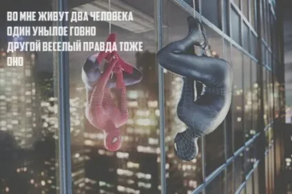 Порошок чотиривірші з кумедною кінцівкою (20 шт)