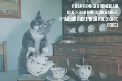 Порошок чотиривірші з кумедною кінцівкою (20 шт)