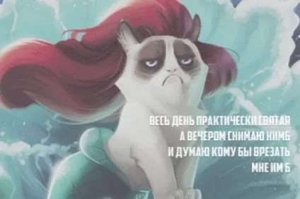 Порошок чотиривірші з кумедною кінцівкою (20 шт)