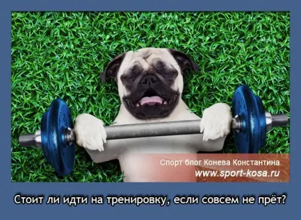 Чи варто йти на тренування, якщо зовсім не пре (йди на тренування) Чи варто йти на тренування, якщо зовсім не пре