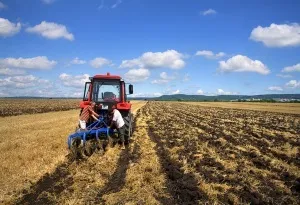 Порядок надання земельних ділянок в постійне безстрокове користування та переоформлення (надання земельної ділянки в постійне безстрокове користування) Порядок надання земельних ділянок в постійне безстрокове користування та переоформлення