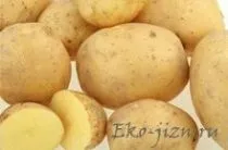 Правда і вигадка про шкоду курячого м'яса