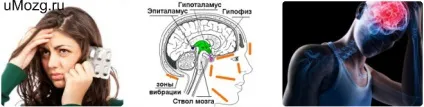 Препарати для поліпшення роботи головного мозку (препарати) Препарати для поліпшення роботи головного мозку