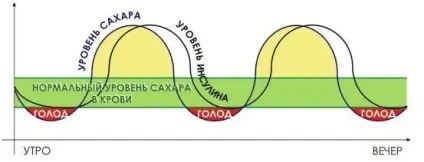 Правильний сніданок гербалайф, %%