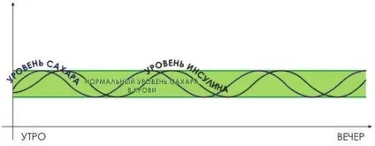 Правильний сніданок гербалайф, %%
