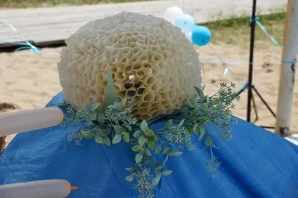 свято нептуна