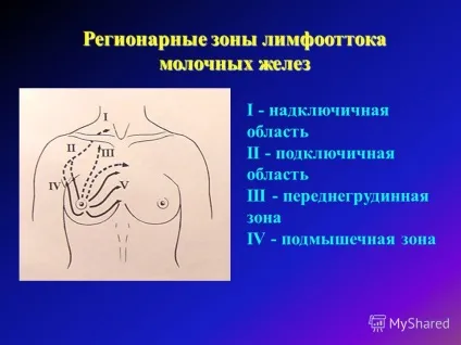 Презентація на тему тема ультразвукова анатомія молочної залози (ультразвукова) Презентація на тему тема ультразвукова анатомія молочної залози