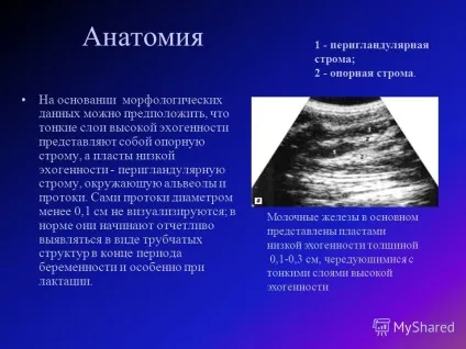 Презентація на тему тема ультразвукова анатомія молочної залози (тему) Презентація на тему тема ультразвукова анатомія молочної залози
