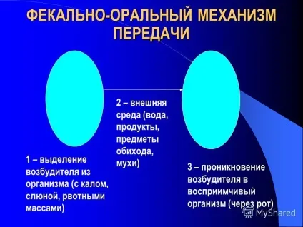 Презентація на тему епідеміологічна характеристика групи кишкових інфекцій