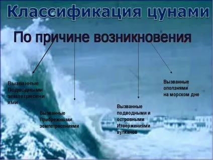 Правила поведінки при цунамі, інтернет проект я виживу