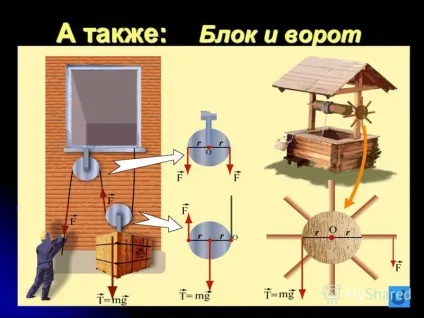 Презентація на тему важелі в навколишньому світі олег бауер 7 в клас (світі) Презентація на тему важелі в навколишньому світі олег бауер 7 в клас