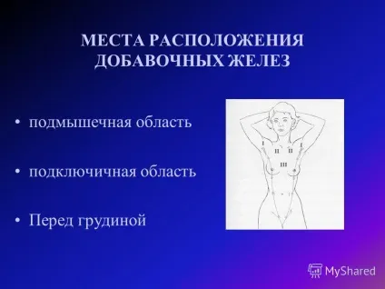 Презентація на тему тема ультразвукова анатомія молочної залози (тема) Презентація на тему тема ультразвукова анатомія молочної залози