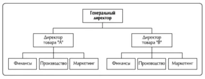 Принципи побудови структури - центр розвитку персоналу evolution - структура, структура (видів продукції послуг) Принципи побудови структури - центр розвитку персоналу evolution - структура, структура