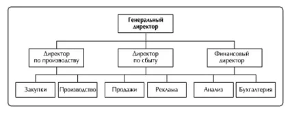 Принципи побудови структури - центр розвитку персоналу evolution - структура, структура (побудови) Принципи побудови структури - центр розвитку персоналу evolution - структура, структура
