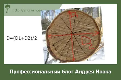 Приймання круглого лісу не по теорії а по практиці (кубатурника круглого лісу) Приймання круглого лісу не по теорії а по практиці