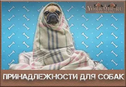Приналежності для собак, список найнеобхідніших (собак) Приналежності для собак, список найнеобхідніших