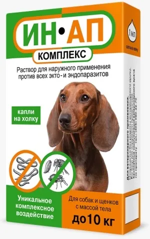 Ознаки та симптоми власоедов у собак