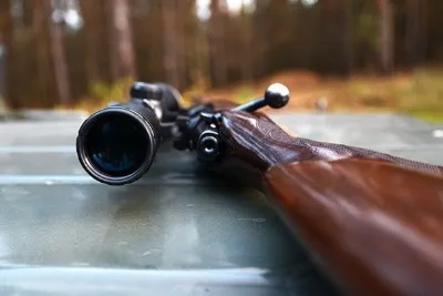 Продовження ліцензії на зброю де і як продовжити дозвіл, якщо закінчується термін (перелік документів для продовження ліцензії на зброю) Продовження ліцензії на зброю де і як продовжити дозвіл, якщо закінчується термін