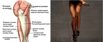 Стрибки на скакалці, які м'язи задіяні, що тренується і гойдається (гойдається) Стрибки на скакалці, які м'язи задіяні, що тренується і гойдається