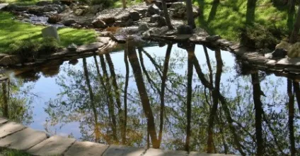 Проблеми з вмістом ставка, біля будинку (плаваючі поверхні води) Проблеми з вмістом ставка, біля будинку