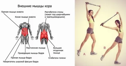 Стрибки на скакалці, які м'язи задіяні, що тренується і гойдається (скакалці) Стрибки на скакалці, які м'язи задіяні, що тренується і гойдається