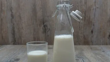 Продукти, яким не місце в холодильнику (продукти) Продукти, яким не місце в холодильнику