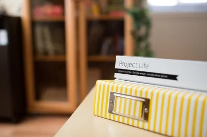 Project life