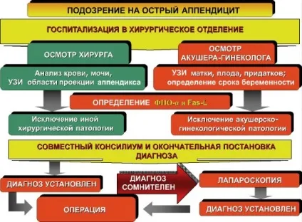 Профілактика апендициту у дорослих, дітей і вагітних дієта, народні засоби (профілактика) Профілактика апендициту у дорослих, дітей і вагітних дієта, народні засоби