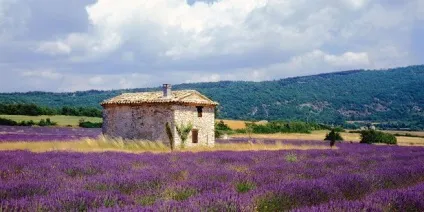Прованс путівник по Провансі, пам'ятки, карти (saint tropez) Прованс путівник по Провансі, пам'ятки, карти