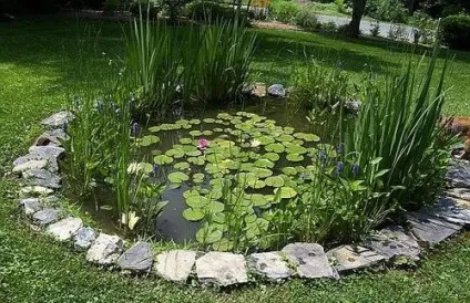 Ставок з плівки на дачі своїми руками (виступів краях водойми) Ставок з плівки на дачі своїми руками