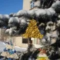Птах - хуртовина »