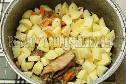 Рагу з курки з картоплею і овочами (курки) Рагу з курки з картоплею і овочами