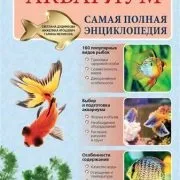 Розмноження сомиків - початківцям аквариумистам (розмноження) Розмноження сомиків - початківцям аквариумистам