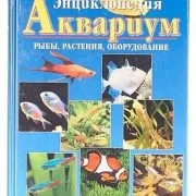 Розмноження сомиків - початківцям аквариумистам (розмноження сомиків) Розмноження сомиків - початківцям аквариумистам