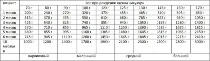 Розміри чихуахуа дорослої собаки і таблиця ваги цуценя по місяцях, «дай лапу» (чихуахуа) Розміри чихуахуа дорослої собаки і таблиця ваги цуценя по місяцях, «дай лапу»