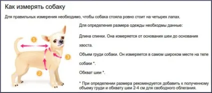 Розміри чихуахуа дорослої собаки і таблиця ваги цуценя по місяцях, «дай лапу» (ваги) Розміри чихуахуа дорослої собаки і таблиця ваги цуценя по місяцях, «дай лапу»