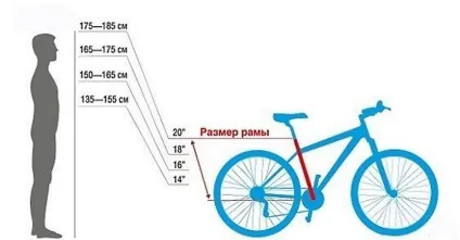 Розміри рами велосипеда по зростанню - як вибрати розмір колеса і ростовку (розмір рами велосипеда) Розміри рами велосипеда по зростанню - як вибрати розмір колеса і ростовку