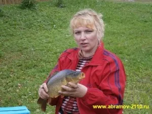 Розведення коропа в ставку на дачі, розведення коропів (ставку) Розведення коропа в ставку на дачі, розведення коропів