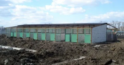 Рекомендації зі створення та утримання притулку необмеженого прийому для тварин