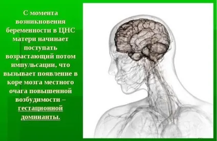 Релаксин при вагітності