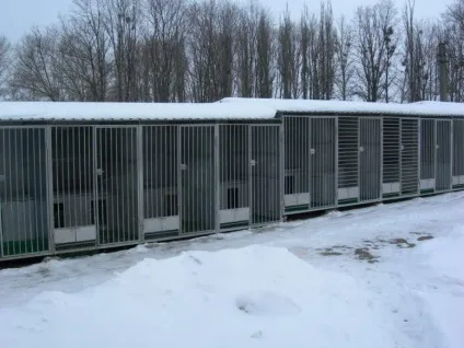 Рекомендації зі створення та утримання притулку необмеженого прийому для тварин